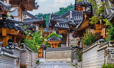 Korea + Everland Theme Park