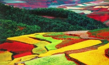Kunming + Dali