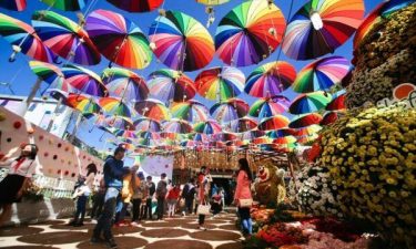 Nha Trang + Dalat + Muine + Ho Chi Minh