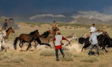 Discover Inner Mongolia