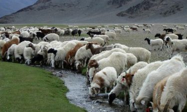 Discover Inner Mongolia