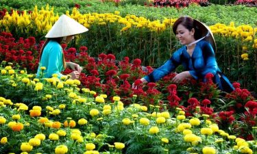 Nha Trang + Dalat + Muine + Ho Chi Minh