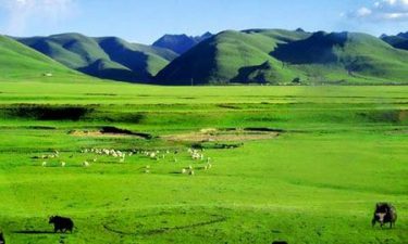 Discover Inner Mongolia