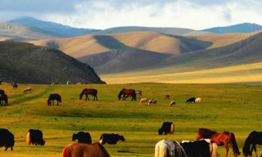 Discover Inner Mongolia