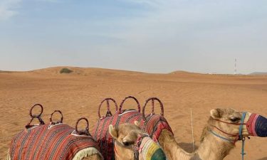 Dubai + Abu Dhabi + Sharjah