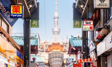 Tokyo + Mt. Fuji + Snow Resort