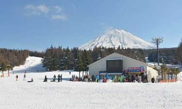 Tokyo + Mt. Fuji + Snow Resort