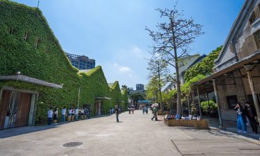 Taiwan Family Fun + Theme Park
