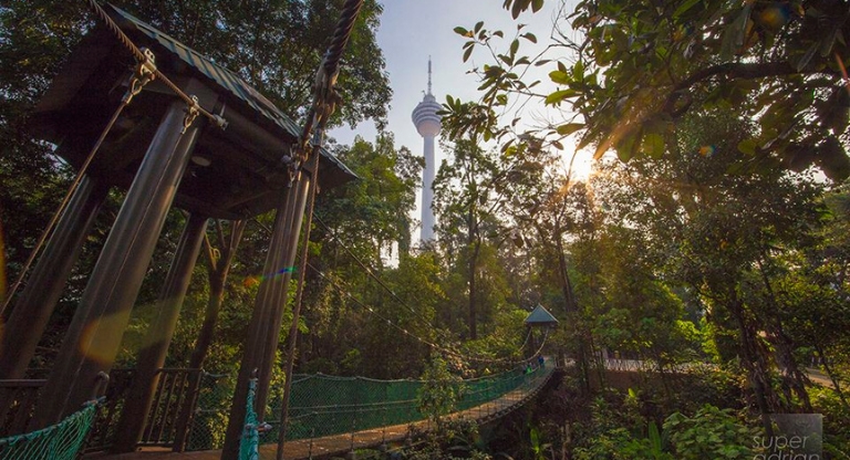 Tempat Aktiviti Outdoor : KL Forest Eco Park