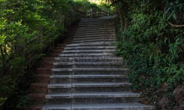 Guangzhou + 3 Cities + Shopping