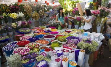 Kunming + Dali + Lijiang + Shangri-La