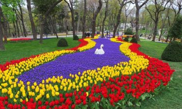 Turkiye + Mt. Erciyes D7