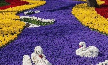 Turkiye + Mt. Erciyes D7