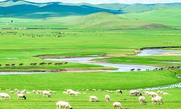Inner Mongolia + Ningxia Exploration