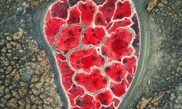 Inner Mongolia + Ningxia Exploration