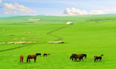 Inner Mongolia + Ningxia Exploration