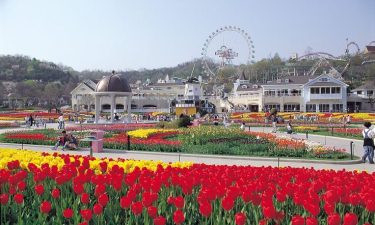 Korea Special + Half Day City Tour Brunei