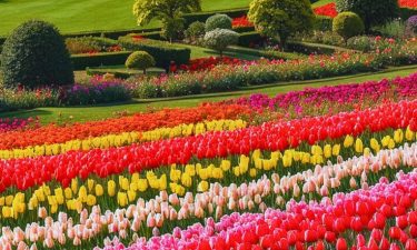 Klasik Eropah 4 Negara + Istanbul