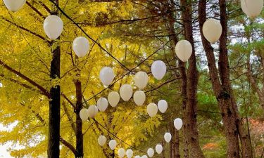 Korea Special + Half Day City Tour Brunei