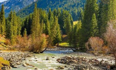 Uzbekistan + Kyrgyzstan + Kazakhstan