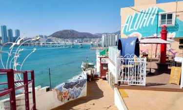 Busan K-Vibes