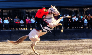 Xinjiang Scenic & Silk Road