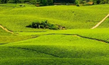 Pesona Guizhou + Magical Chongqing