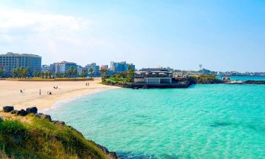 Jeju + Udo Island