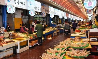 Jeju + Udo Island