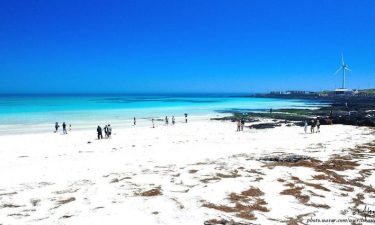 Jeju + Udo Island