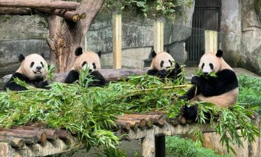 Amazing 3 Cities: Chengdu + Jiuzhaigou + Chongqing