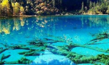 Amazing 3 Cities: Chengdu + Jiuzhaigou + Chongqing