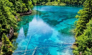 Amazing 3 Cities: Chengdu + Jiuzhaigou + Chongqing