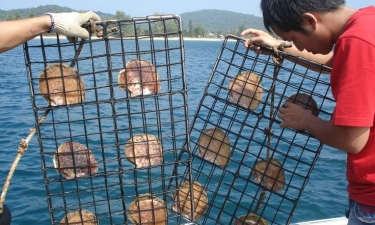 Phu Quoc Special