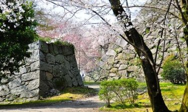 6H4M Fukuoka Discovery