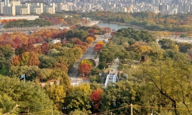 Korea Saranghaeyo