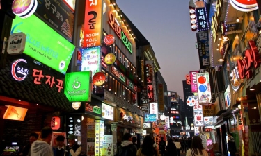 Korea Musim Bunga