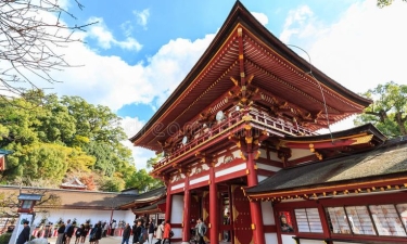 6H4M Fukuoka Discovery