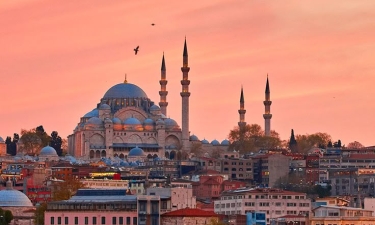 Turkiye Tulip TK